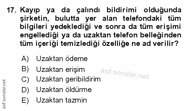 Soru 17