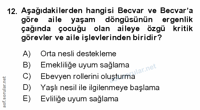 Soru 12