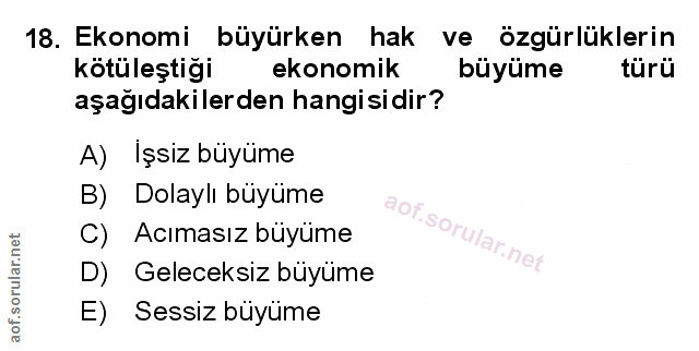 Soru 18