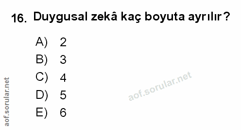 Soru 16
