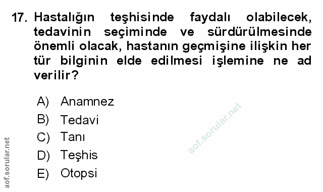 Soru 17