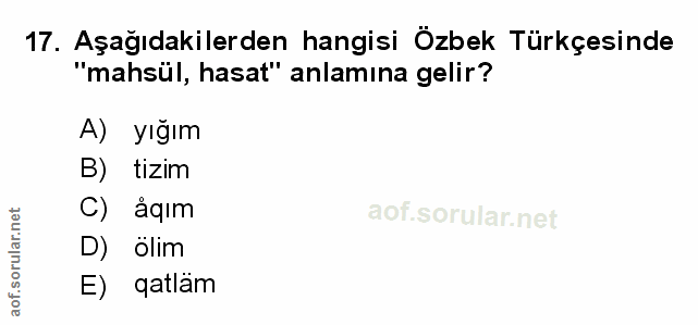 Soru 17