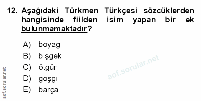 Soru 12