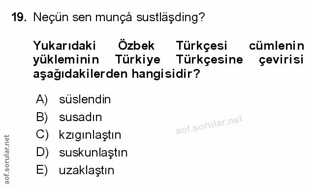 Soru 19