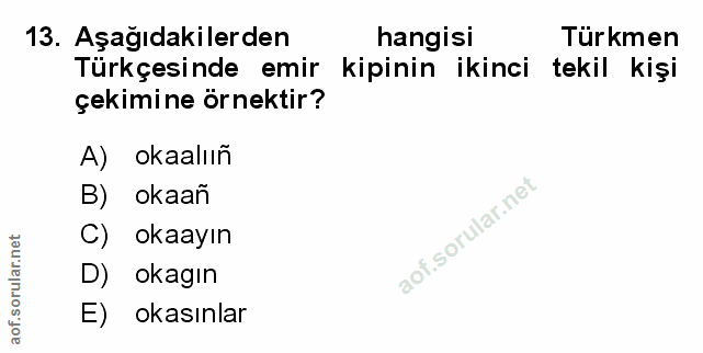 Soru 13