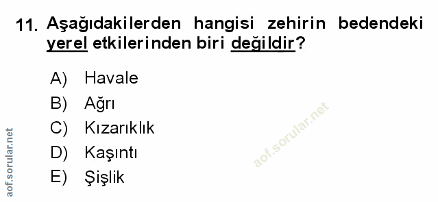 Soru 11