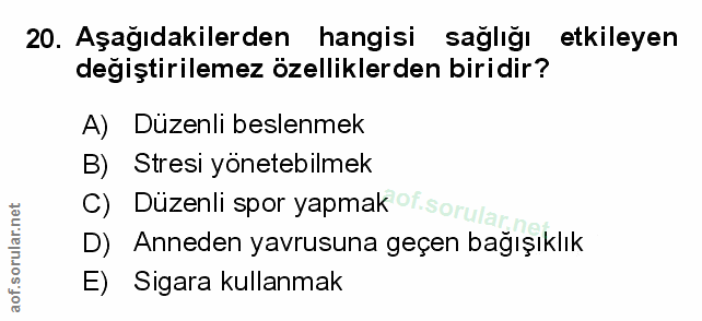Soru 20