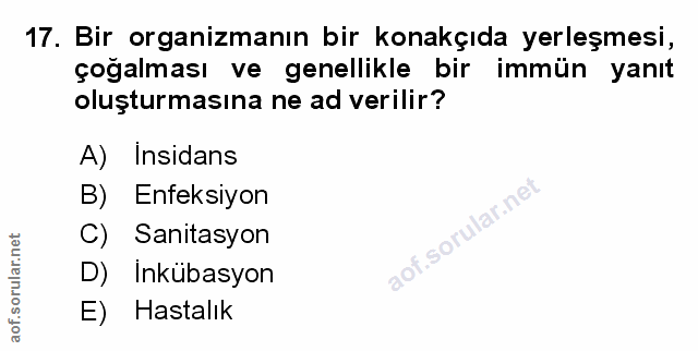 Soru 17
