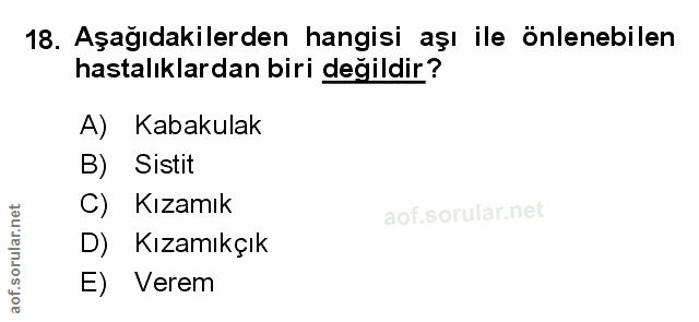 Soru 18