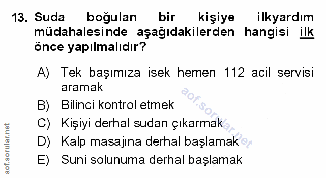 Soru 13