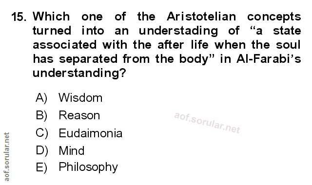 Soru 15