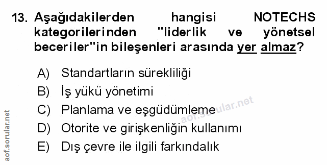 Soru 13