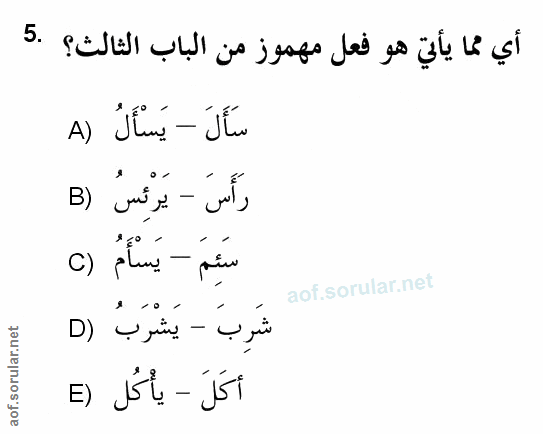 Soru 5