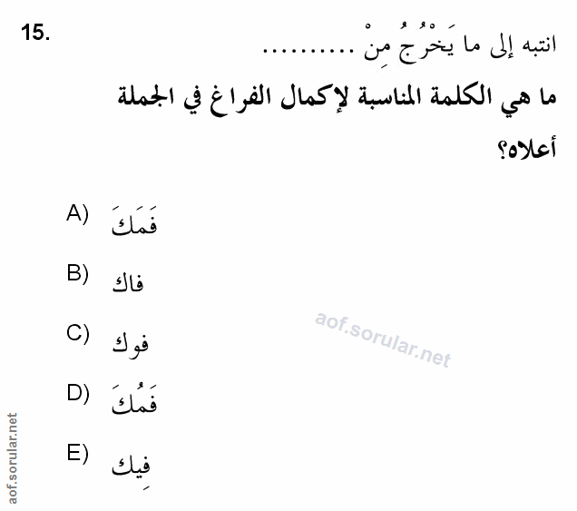 Soru 15