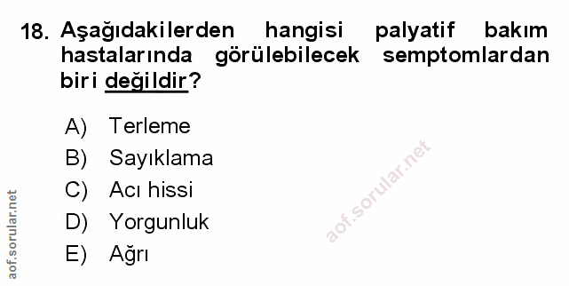 Soru 18