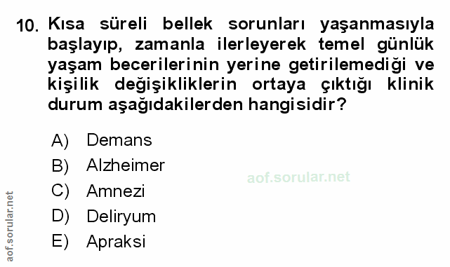 Soru 10