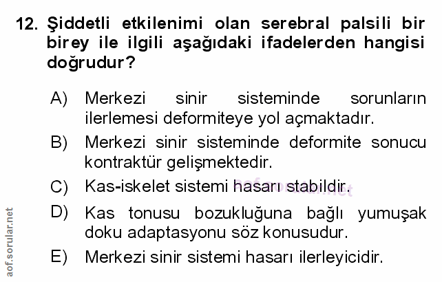 Soru 12