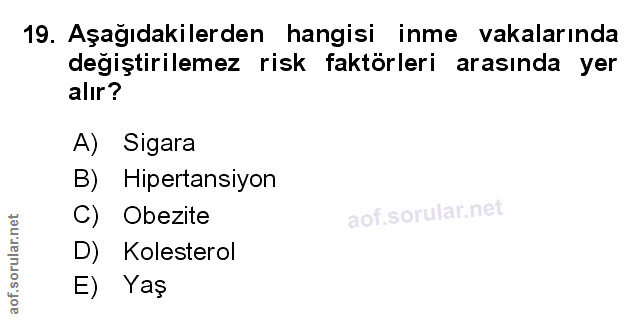 Soru 19