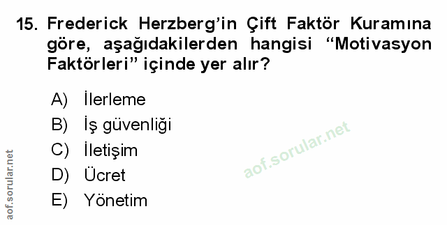 Soru 15