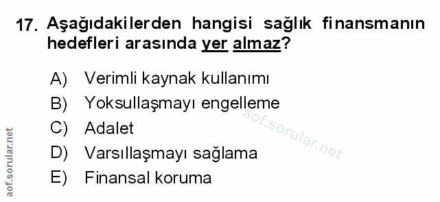 Soru 17