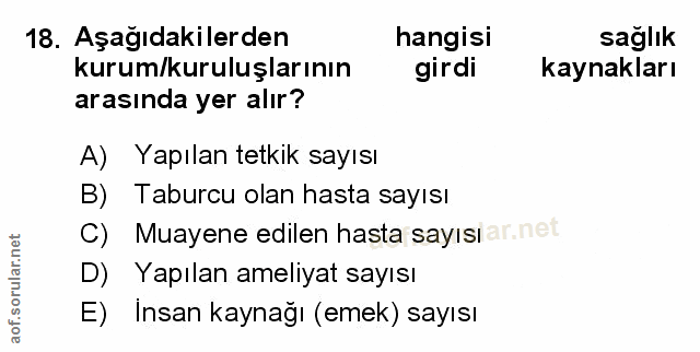 Soru 18