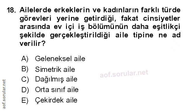 Soru 18