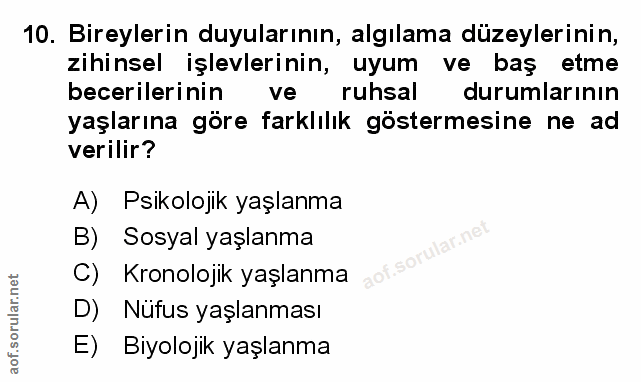 Soru 10