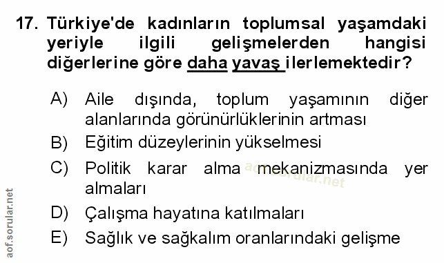 Soru 17