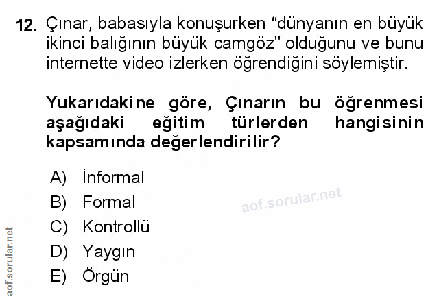 Soru 12