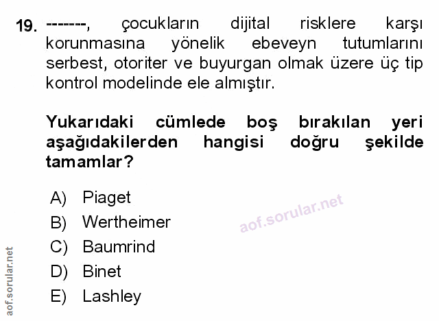 Soru 19