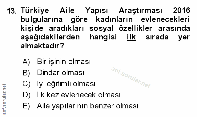 Soru 13