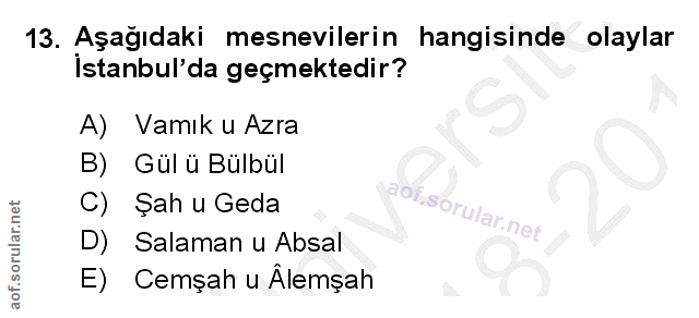 Soru 13