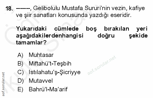 Soru 18