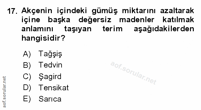 Soru 17