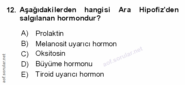 Soru 12