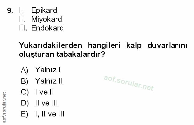 Soru 9