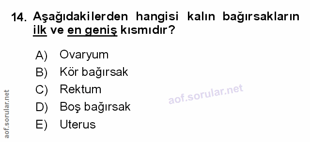 Soru 14