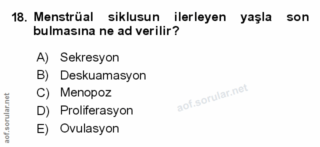 Soru 18