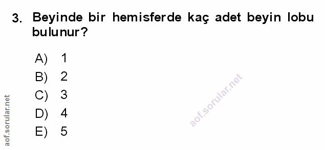 Soru 3