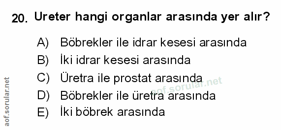 Soru 20