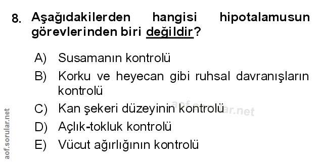 Soru 8