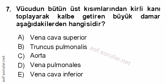 Soru 7