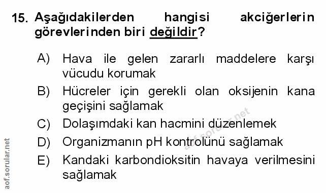 Soru 15