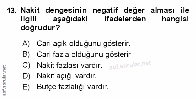 Soru 13