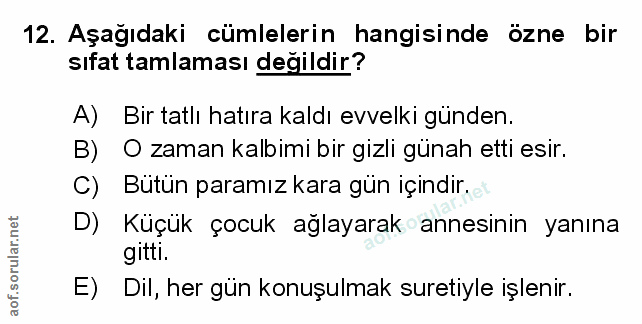 Soru 12