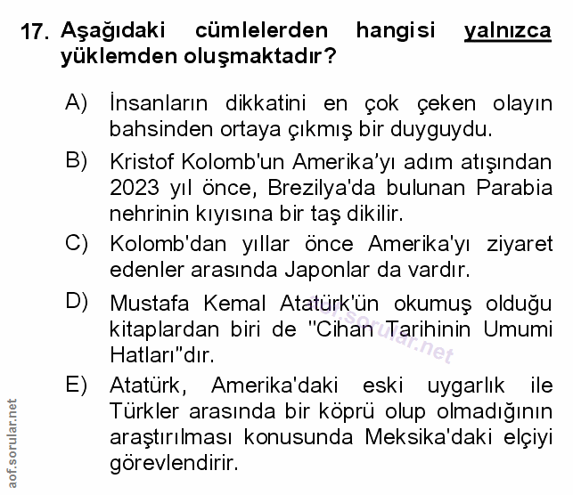 Soru 17