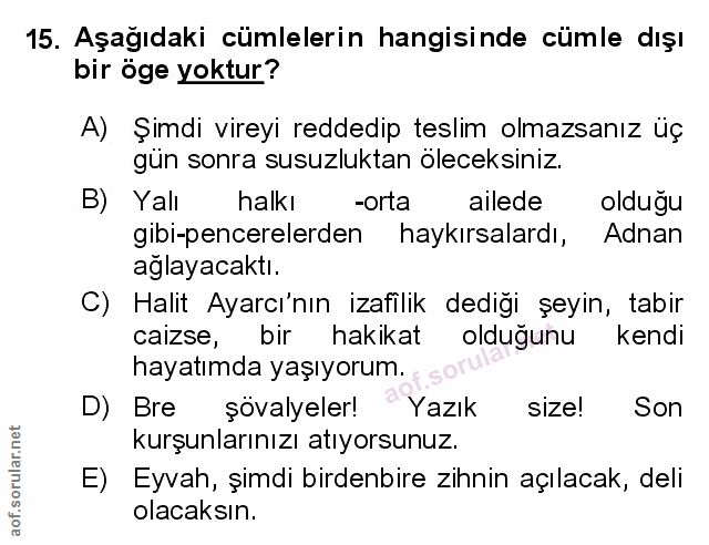 Soru 15