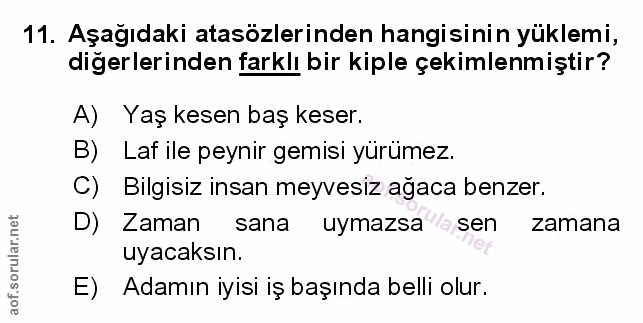 Soru 11