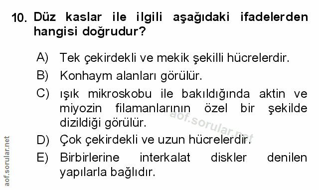 Soru 10