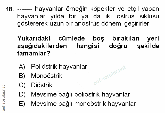Soru 18